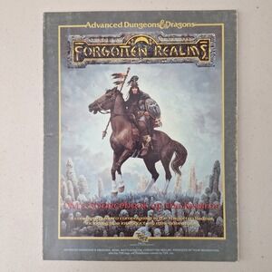 TSR Advanced Dungeons & Dragons Forgotten Realms DMs Sourcebook of the Realms